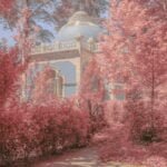 Teresa Freitas showcases her artistic alchemy through a painterly lens.