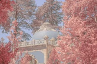 Teresa Freitas showcases her artistic alchemy through a painterly lens.