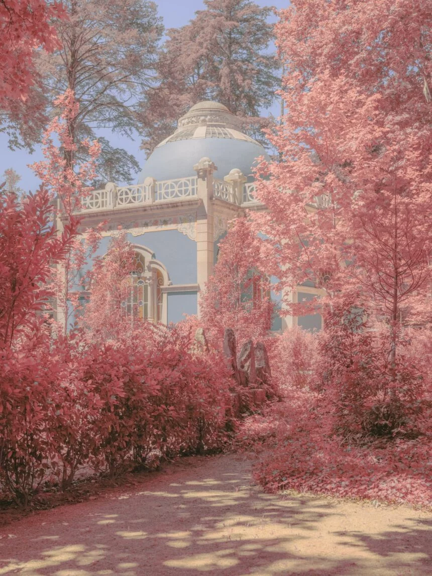 Teresa Freitas showcases her artistic alchemy through a painterly lens.