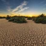 Maintaining good health in times of drought.