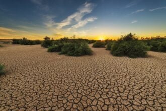 Maintaining good health in times of drought.