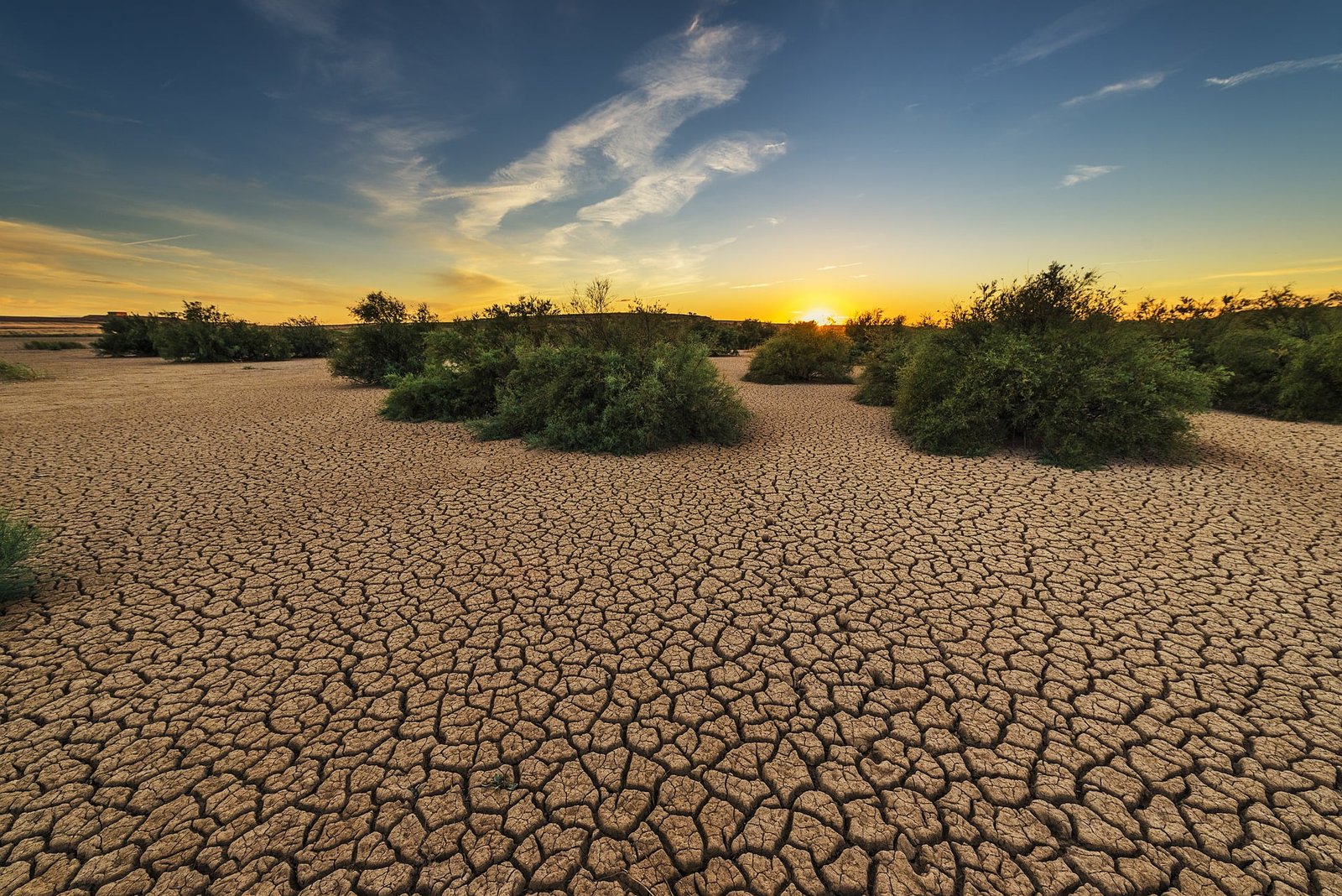 Maintaining good health in times of drought.