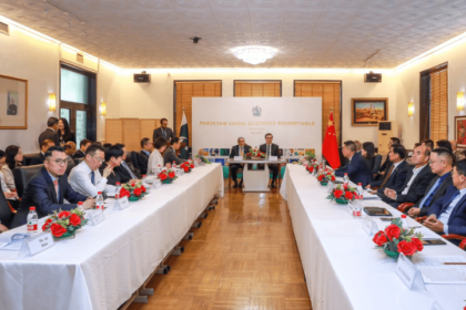 Chinese are encouraged to establish labor-intensive industries in Pakistan.
