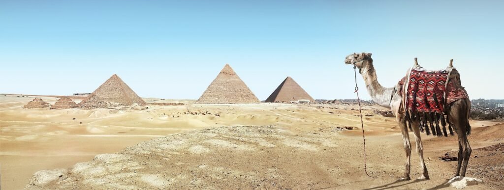 Scientists have discovered that pyramids were constructed next to a forgotten branch of the Nile. 23 Scientists have discovered that pyramids were constructed next to a forgotten branch of the Nile.