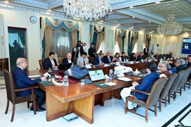 Shehbaz has instructed the implementation of a nationwide initiative aimed at addressing child stunting.